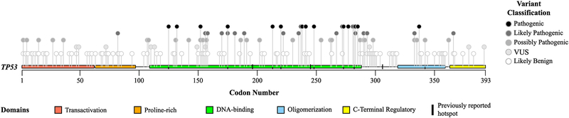 Figure 2 -