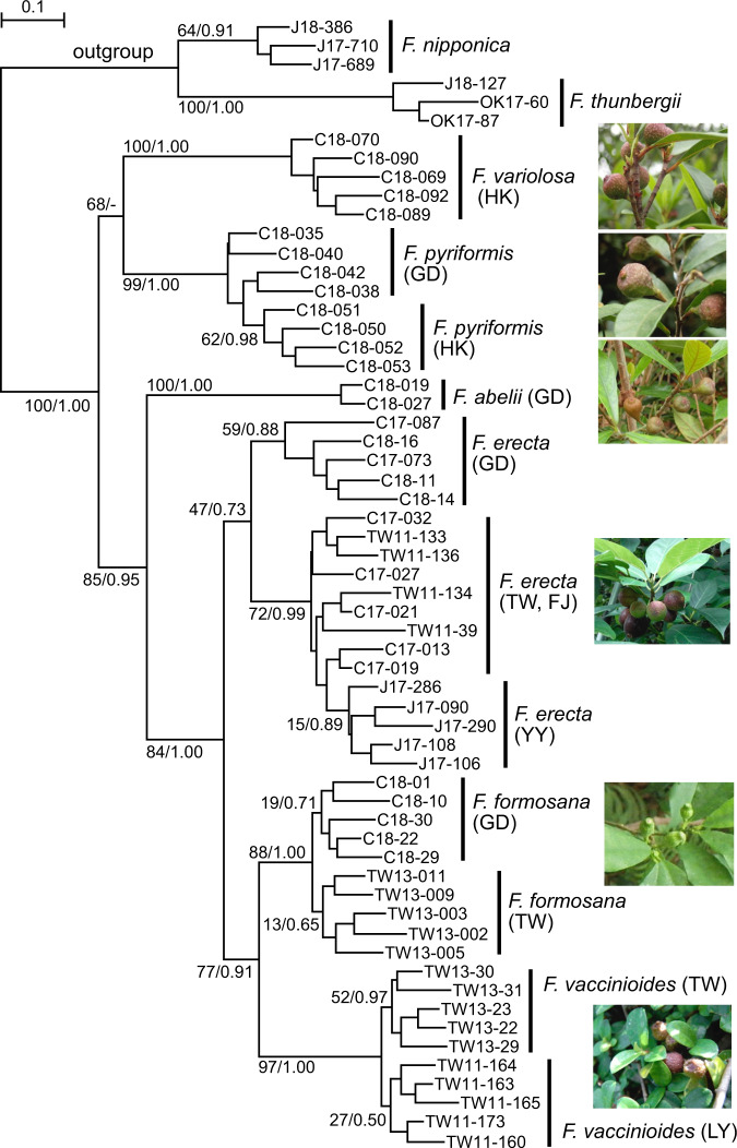 Fig. 2