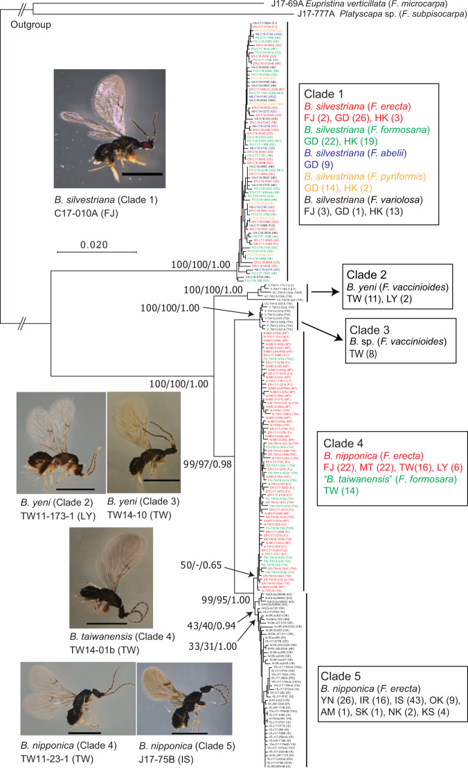 Fig. 3