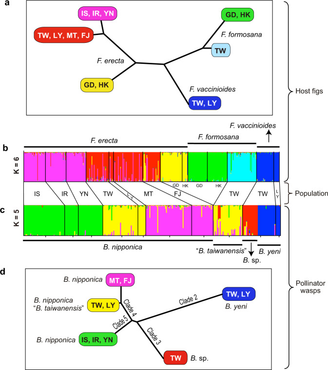 Fig. 4