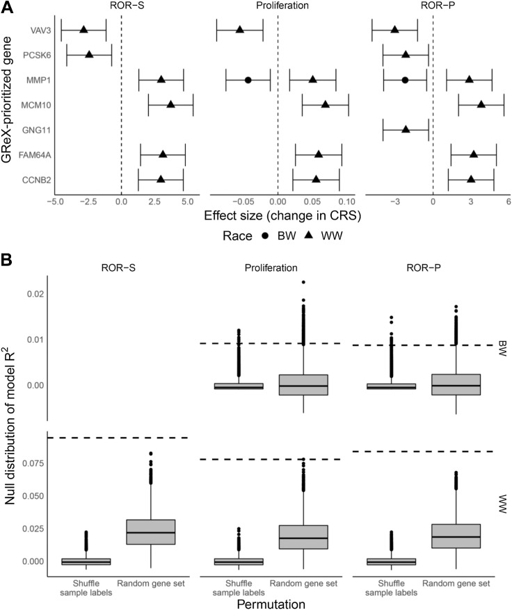 Figure 2. Permutation tests and associations between GReX-prioritized genes and CRS for WW and BW. A, Effect estimates correspond to change in ROR-S, proliferation score, and ROR-P per one SD increase in GReX-prioritized gene expression (i.e., one SD increase in GReX of gene). Triangle, WW; circle, BW. B, Boxplots correspond to null distributions (left, shuffled GReX-sample labels; right, random set of genes) of covariates-residualized R2 for regressions of CRS on GReX-prioritized genes. Null distributions are provided for 10,000 permutations of the GReX-sample labels and 10,000 random sets of genes. Dashed horizontal lines correspond to observed covariates-residualized R2.