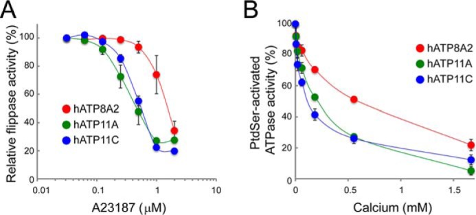 FIGURE 6.