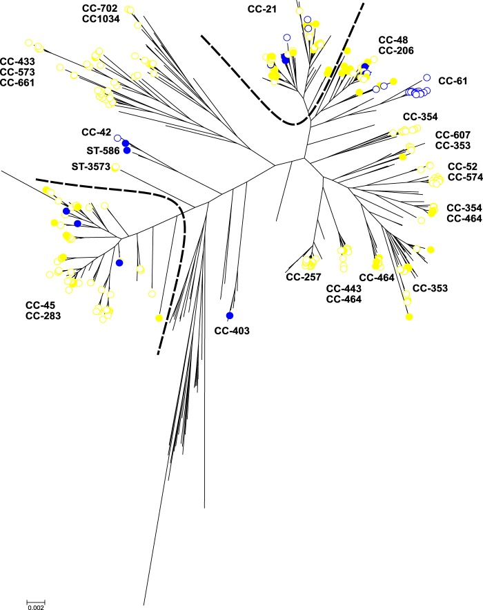 FIG 1