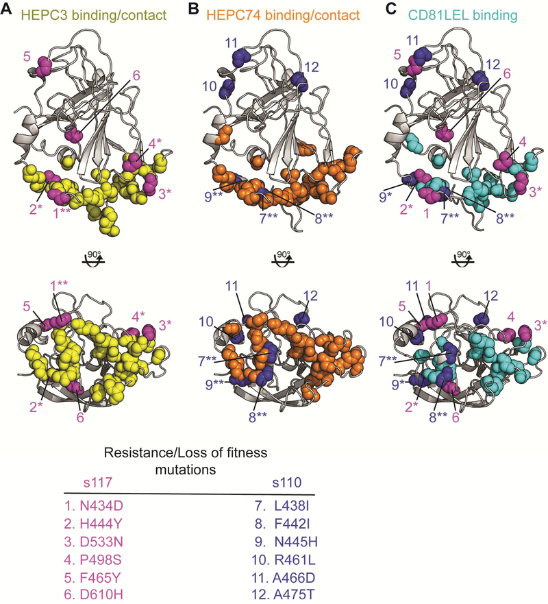 Figure 7.