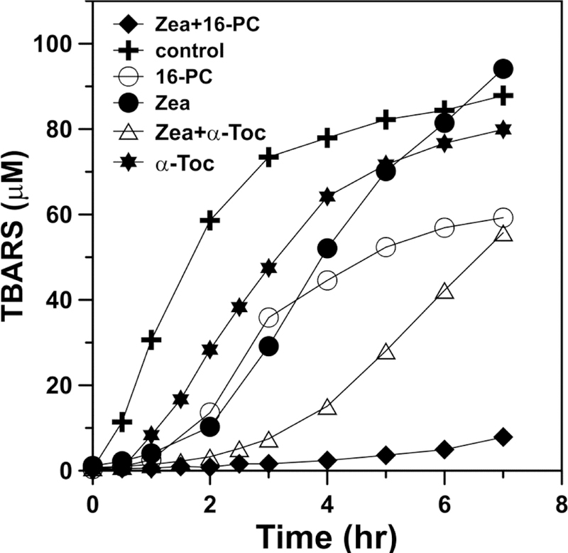 Fig. 8.