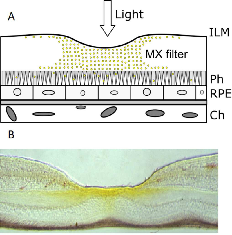 Fig. 3.