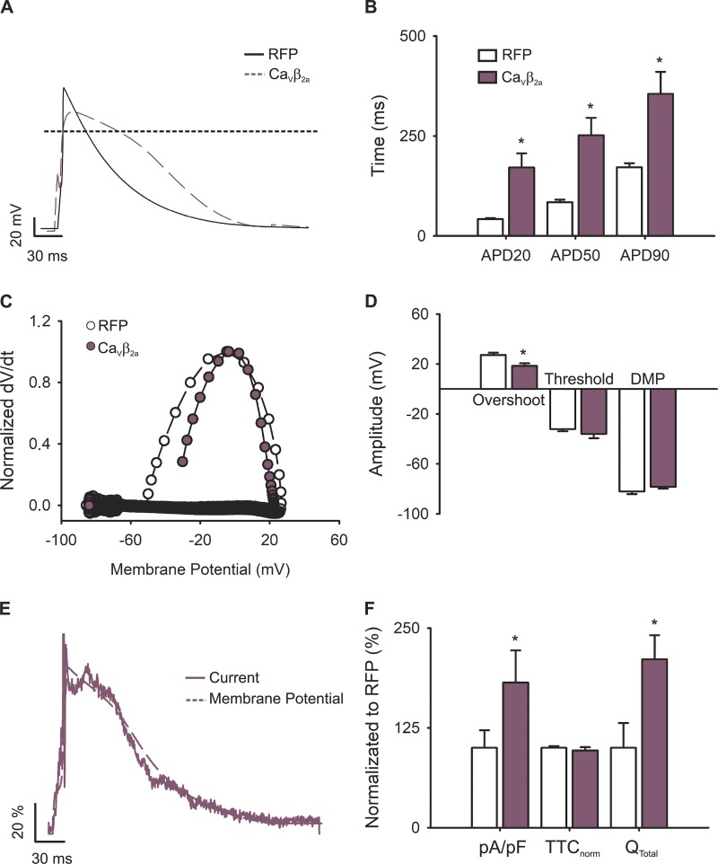 Figure 6.