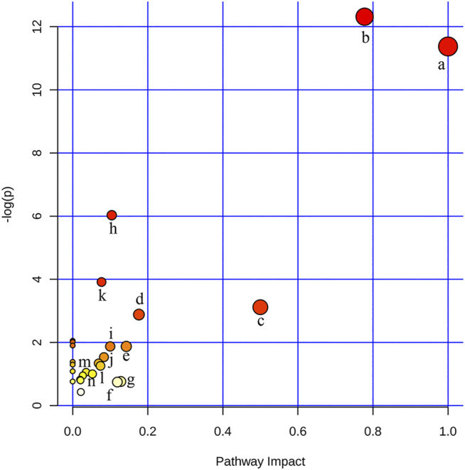 FIGURE 3