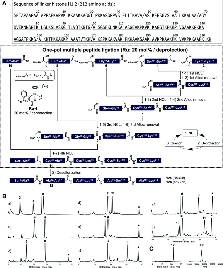 Fig. 2