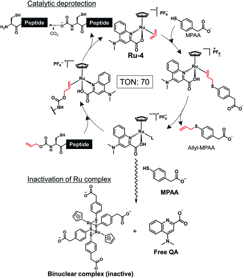 Scheme 1