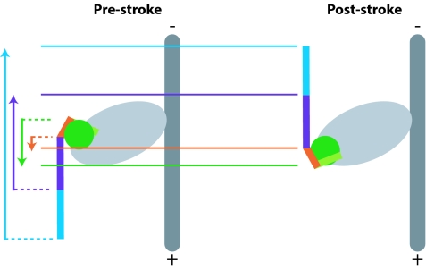 Fig. 5.