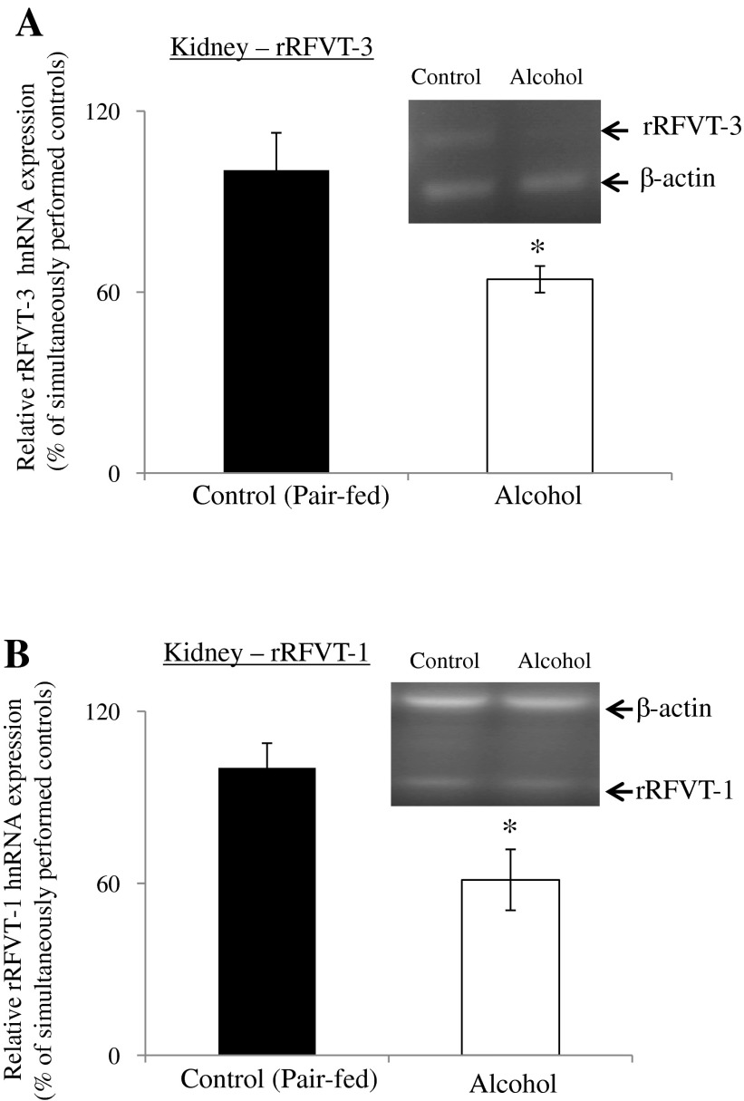 Fig. 9.