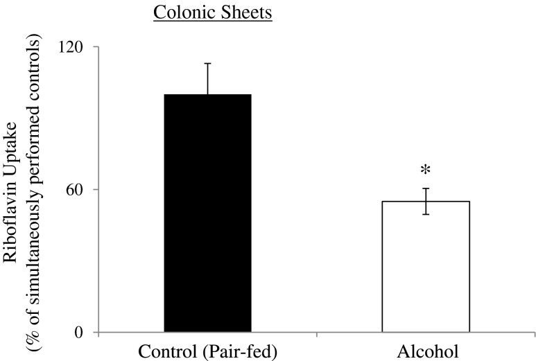 Fig. 5.