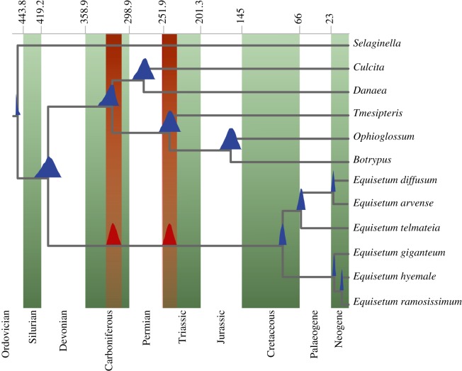 Figure 3.