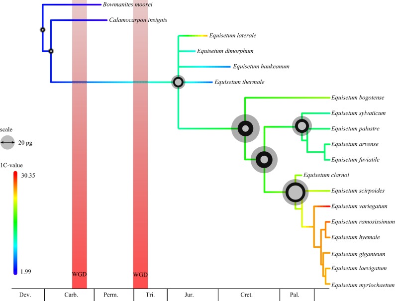 Figure 6.