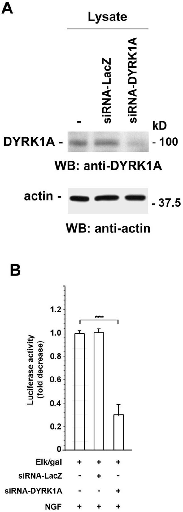 Figure 9.