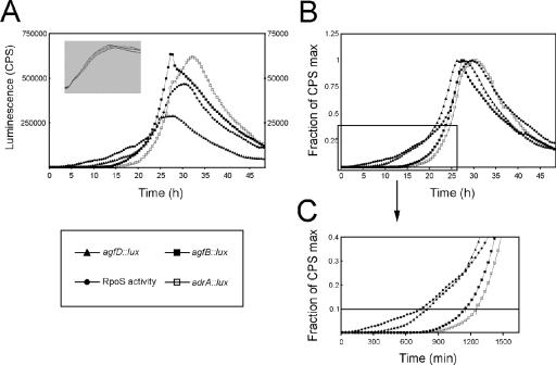 FIG. 2.