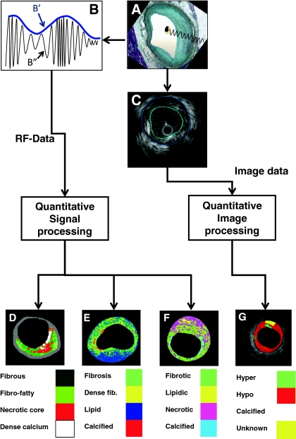 Fig. 1