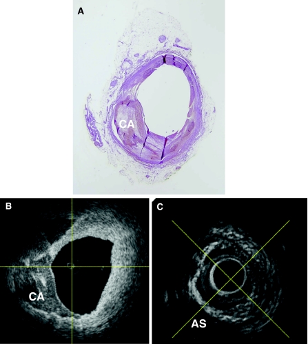 Fig. 2