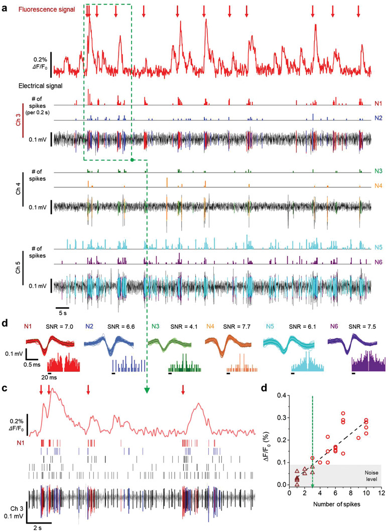 Figure 6