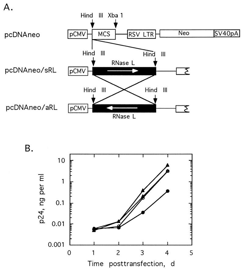 FIG. 8