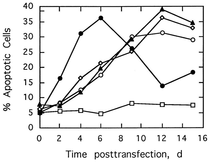 FIG. 5