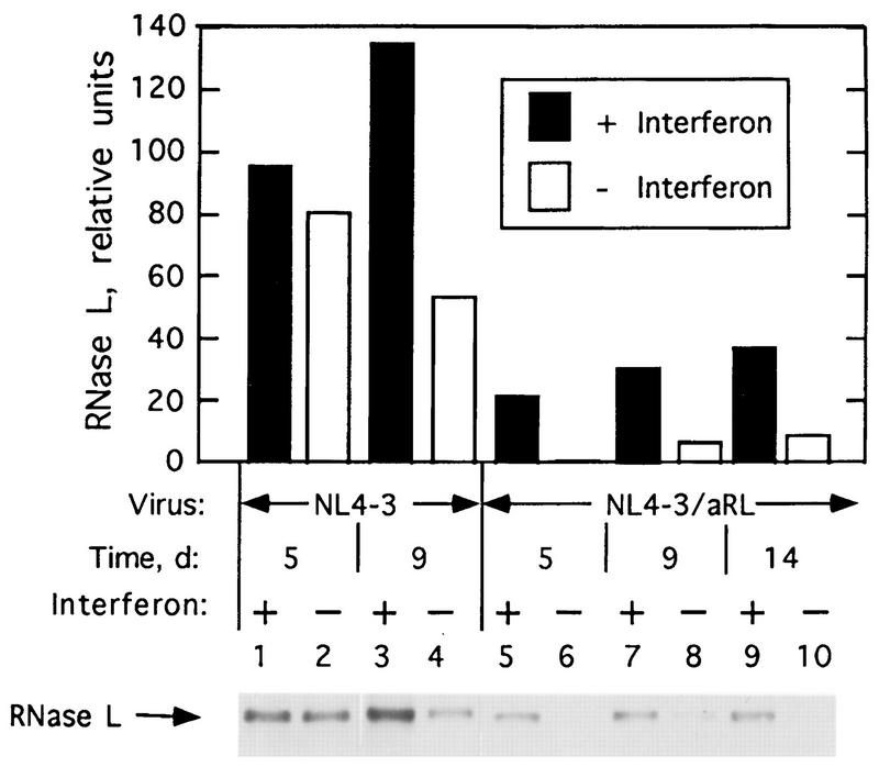 FIG. 6