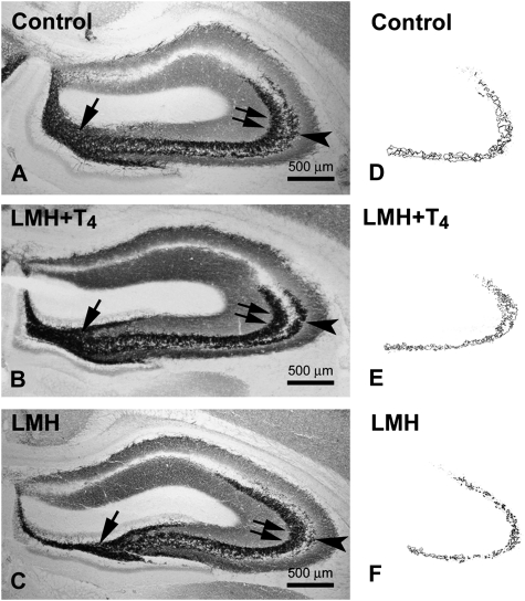 Figure 9.