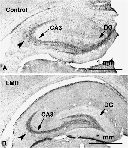 Figure 10.