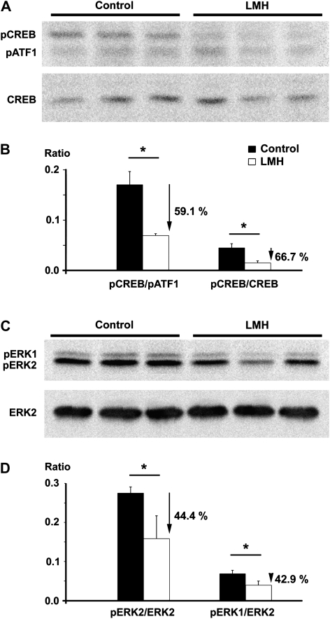 Figure 12.