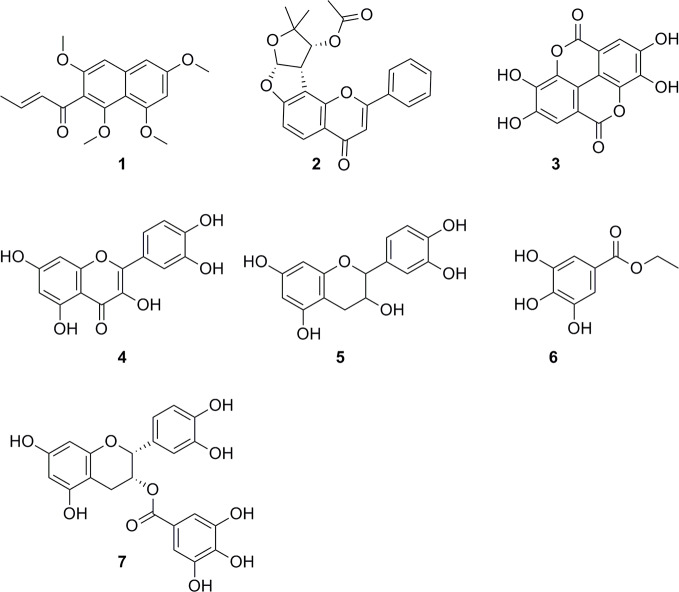 Figure 7