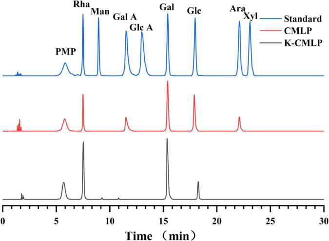 FIGURE 3