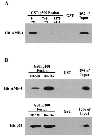 FIG. 6