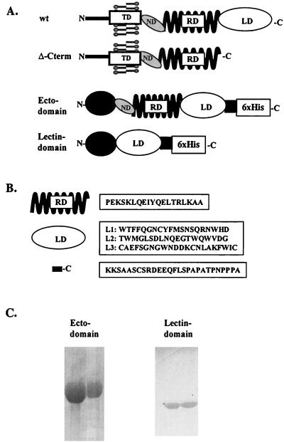 FIG. 5