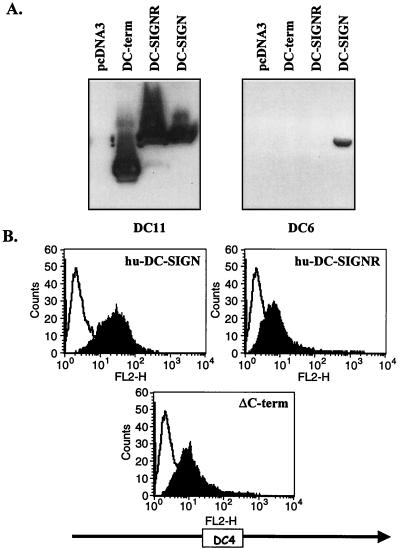 FIG. 6