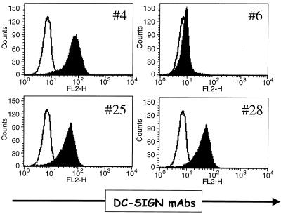 FIG. 7