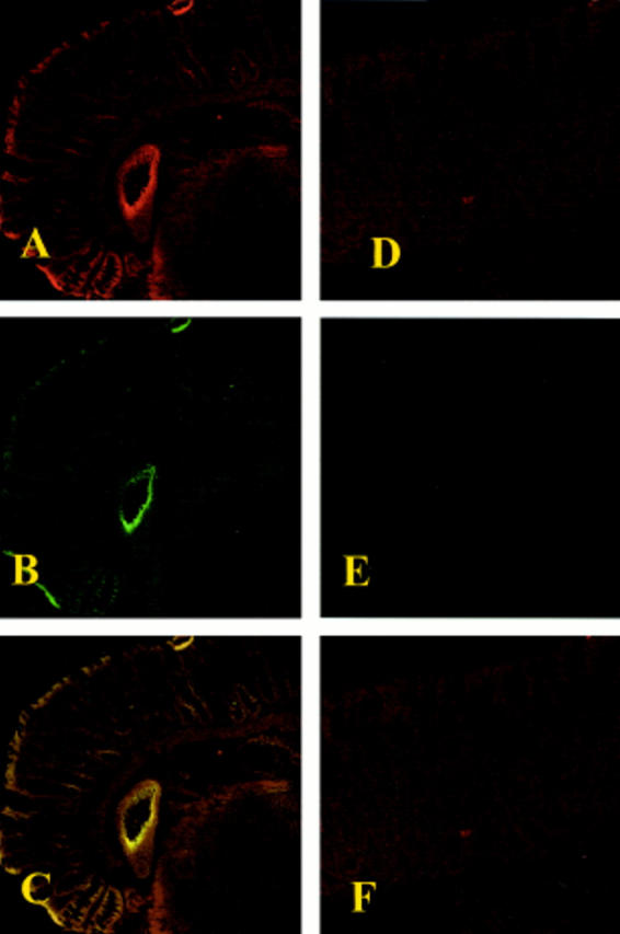 Figure 7  