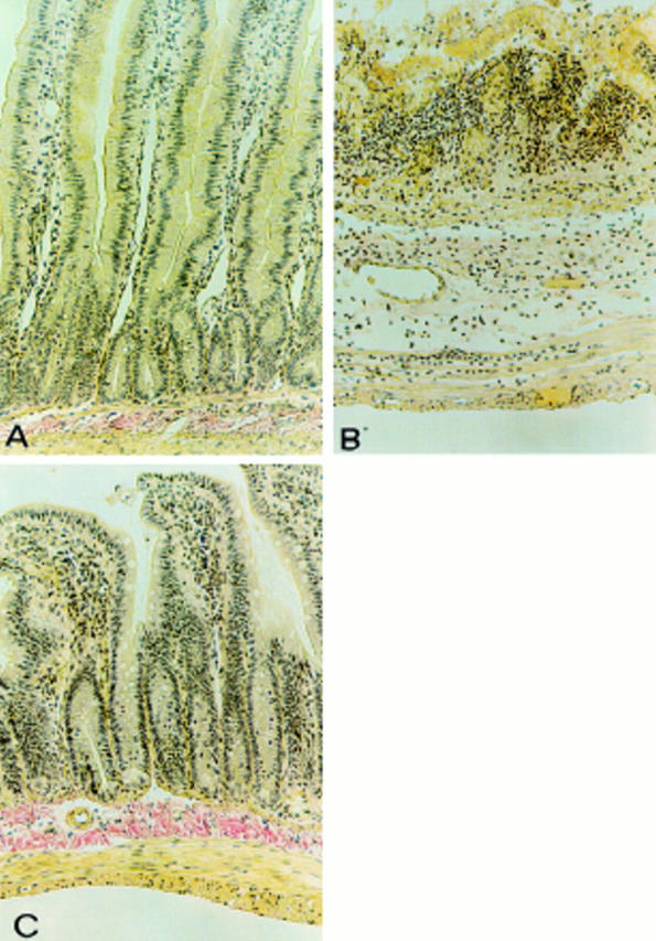 Figure 2  