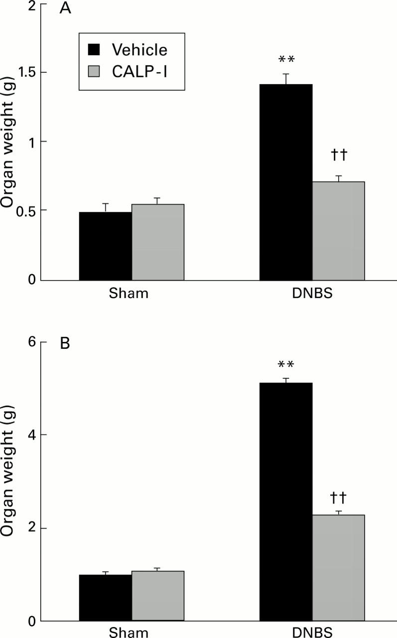 Figure 3  