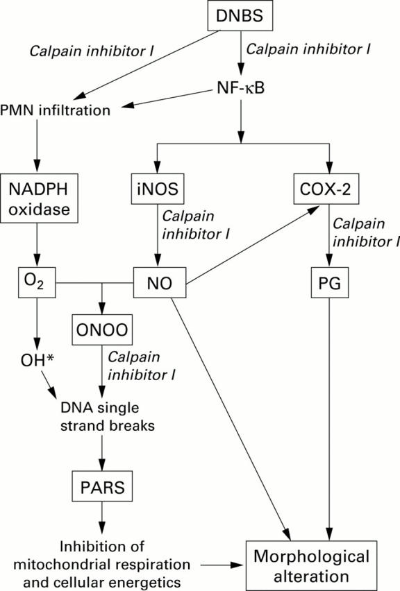 Figure 11  