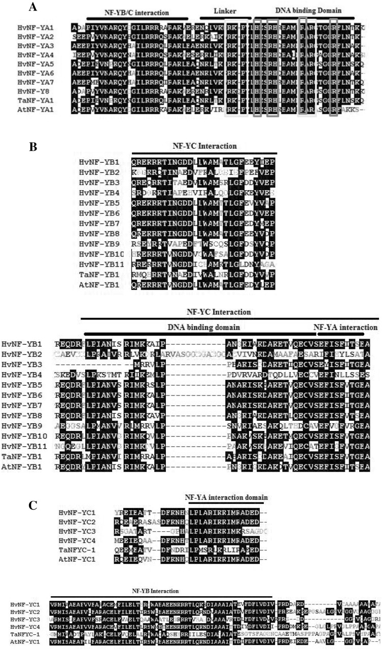 Fig. 8