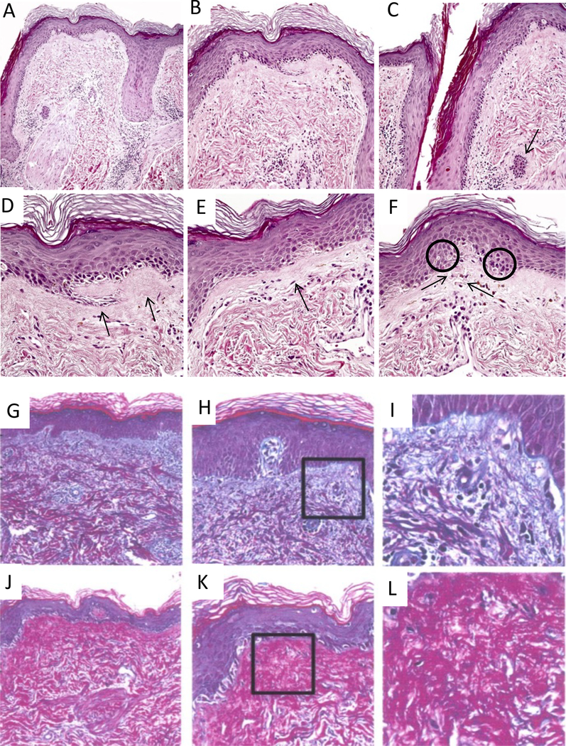 Fig. 2: