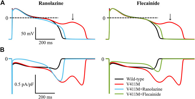 FIGURE 10