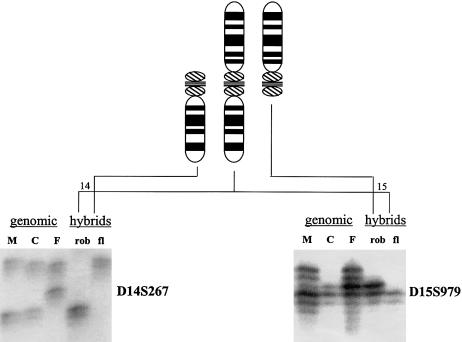 Figure  2