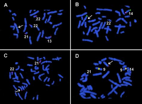 Figure  1