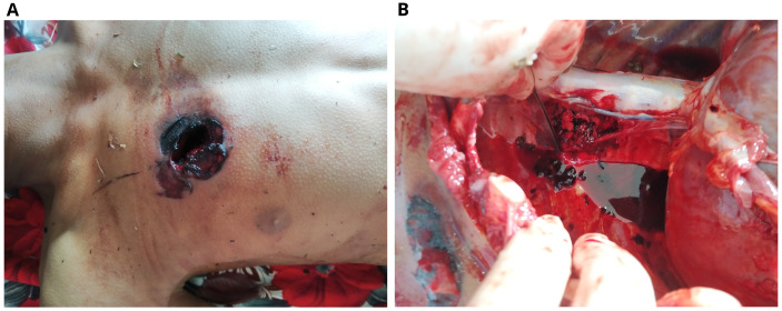 Figure 3. 