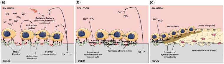 Figure 21.