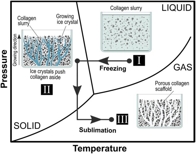 Figure 18.