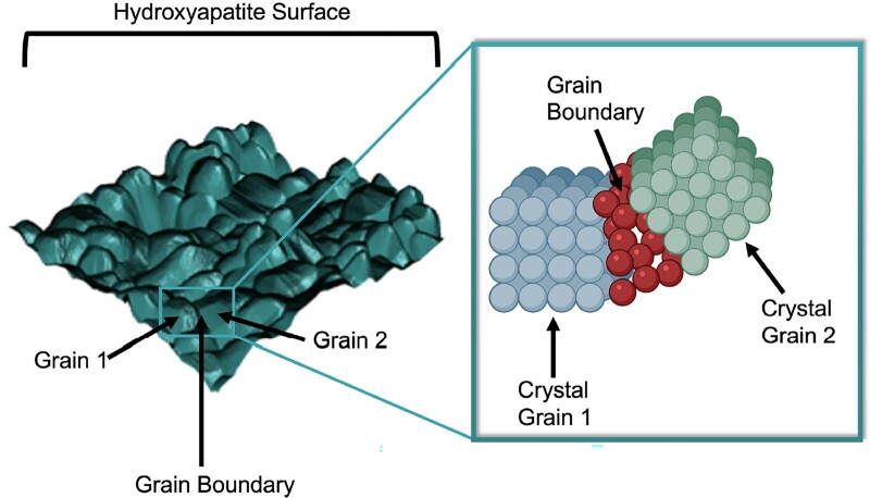 Figure 11.