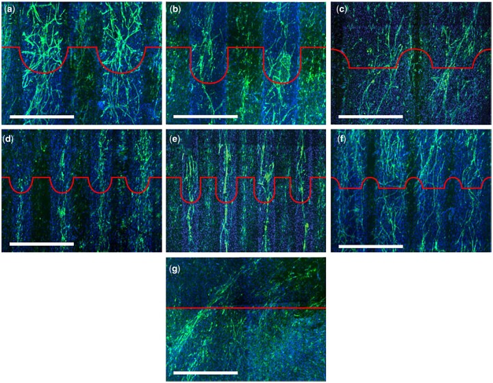 Figure 23.